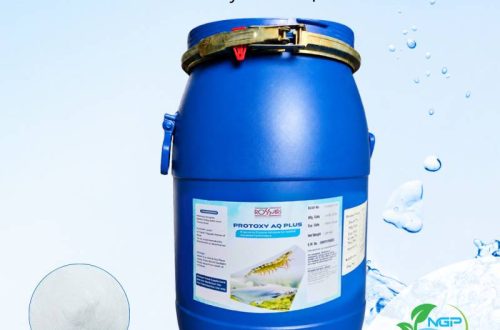 enzyme protease cho tôm cá