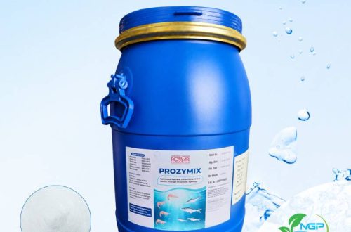 PROZYMIX